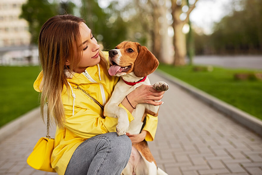 Women checking her dog's feet