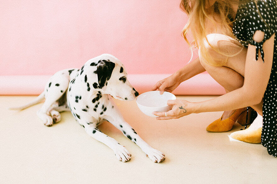 women try to feed puppy