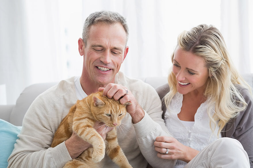 Couple petting their cat