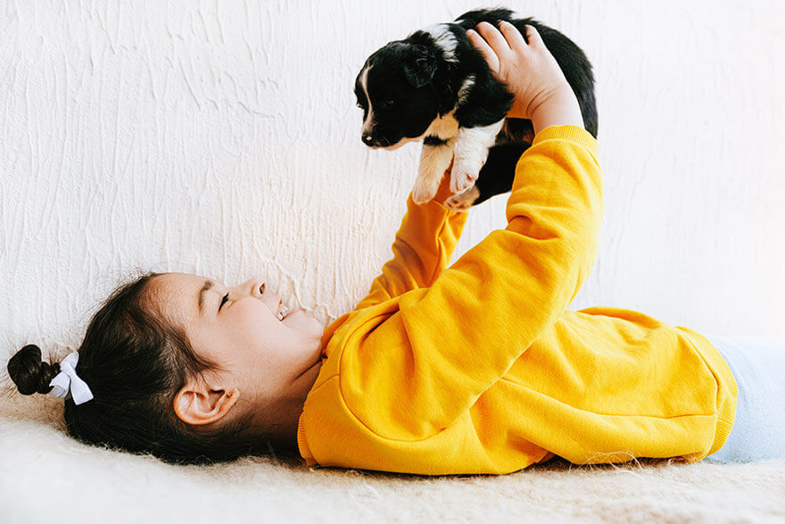 Girl play with puppy
