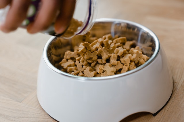 when should i switch from puppy food