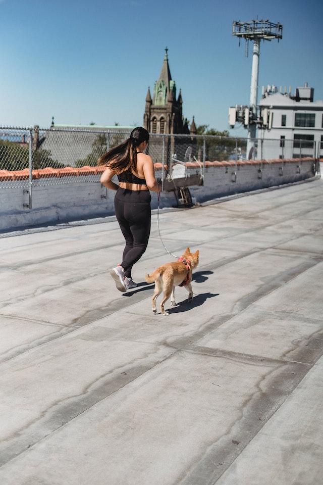 dog running with person