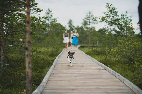 dog-walking-in-the-park