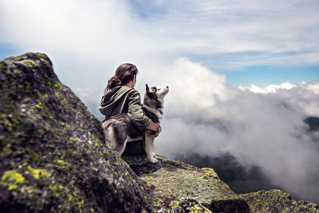traveling with your dog in the montain