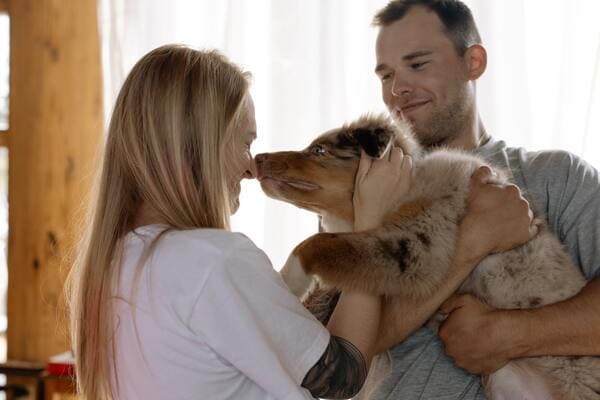 Dog with its owners