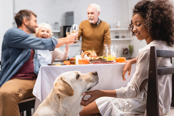 girl petting her dog during the Thanksgiving Food