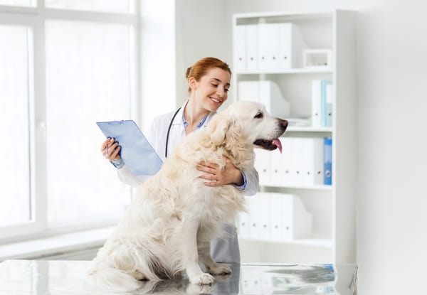 new-discoveries-in-veterinary-medicine