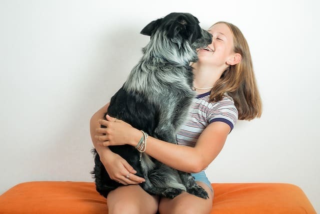 what age do dogs choose their favorite person